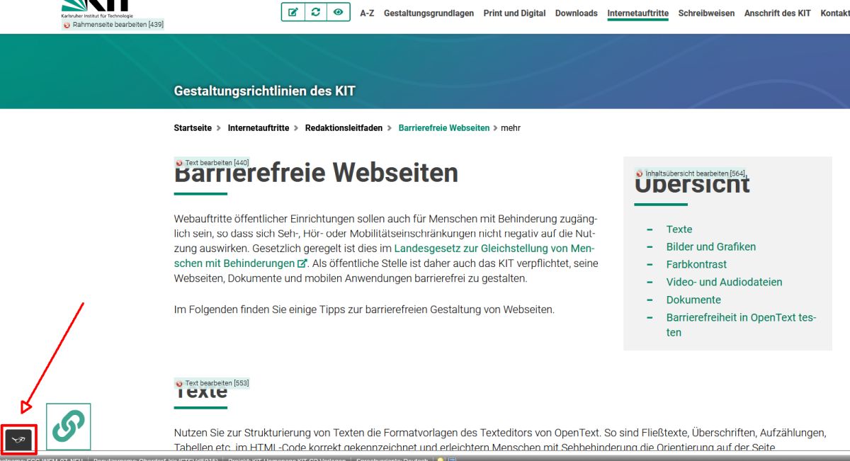 Mit dem markierten Icon am Bildschirmrand kann man in OpenText die Prüfung auf Barrierefreiheit starten.